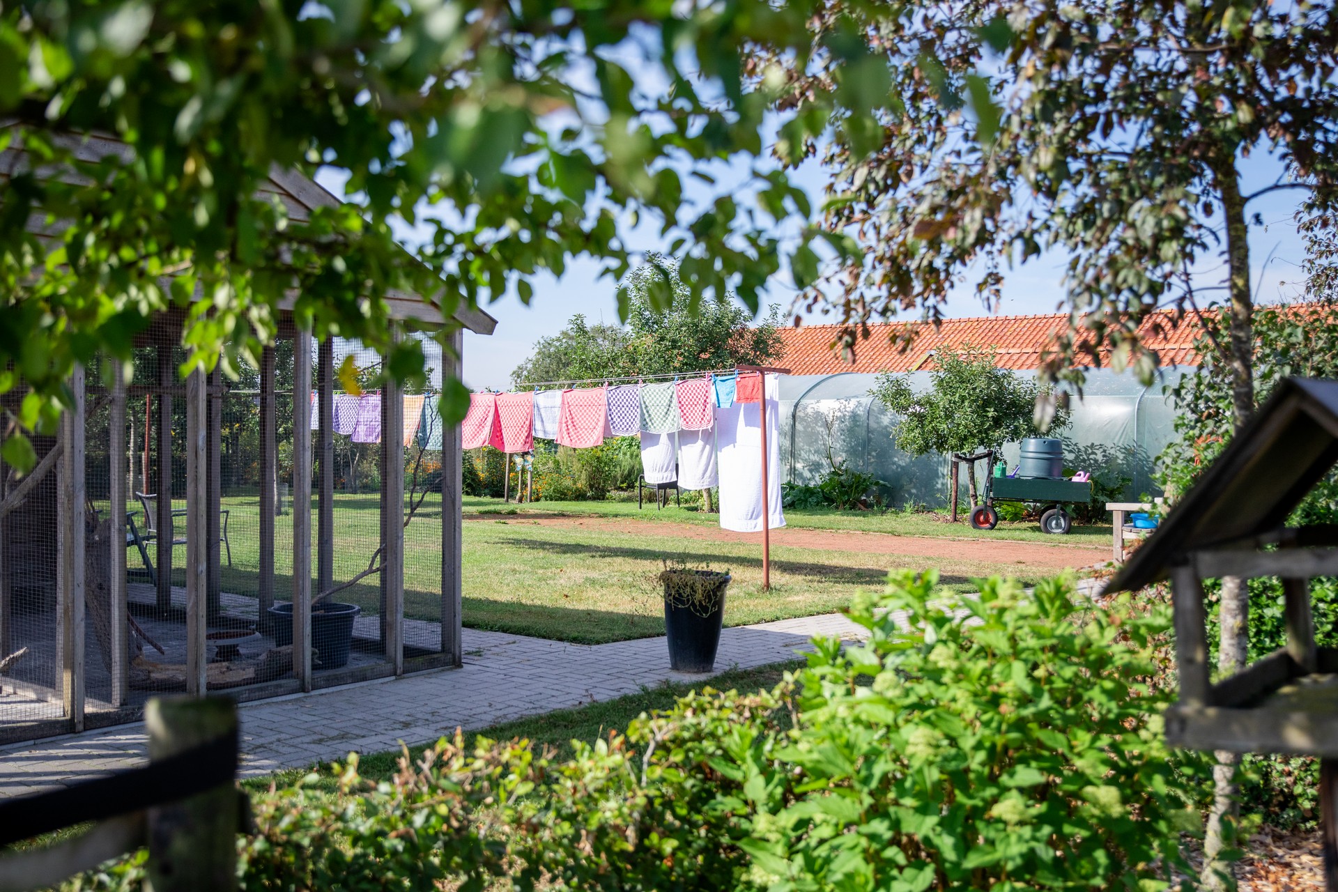 19082020 Zorgboerboerderij Schurinkshoeve_086